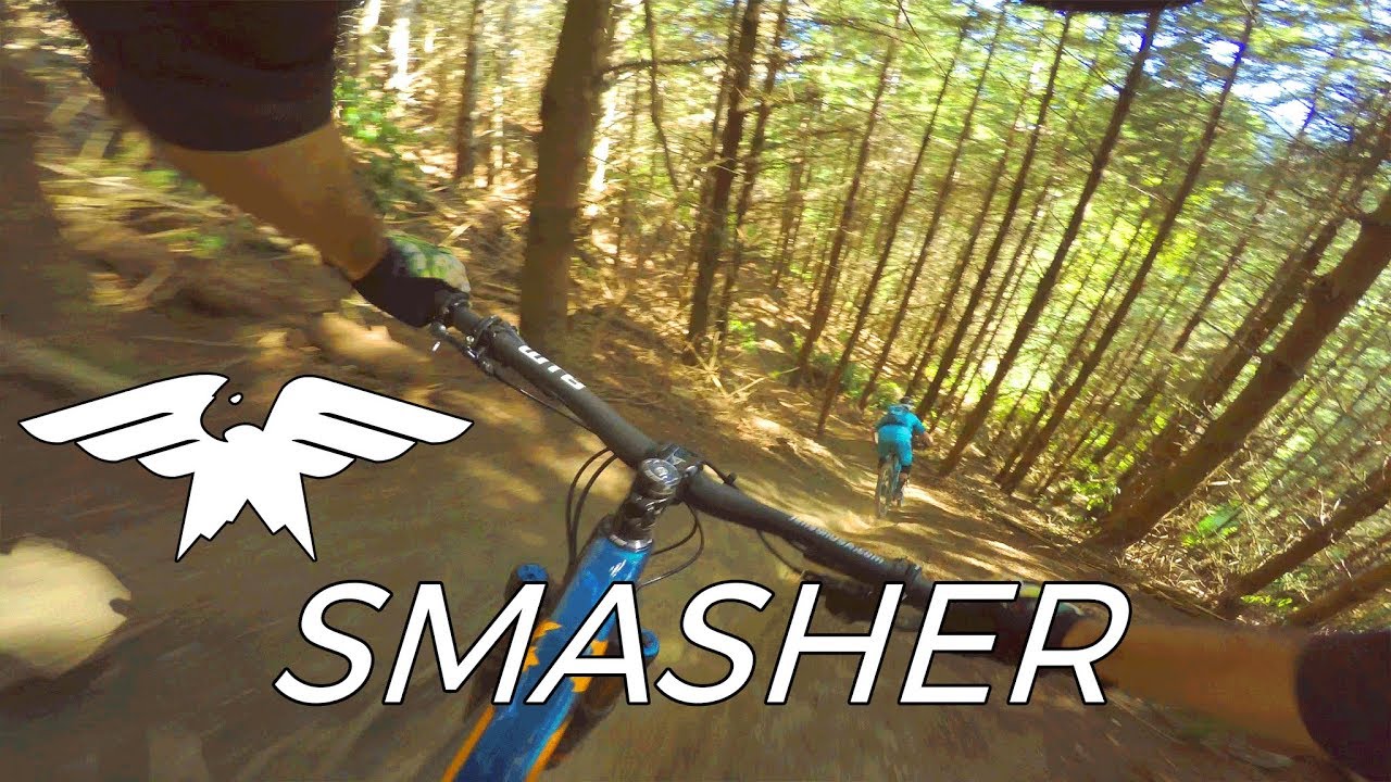All Killer No Filler - Smasher - Nelson, New Zealand