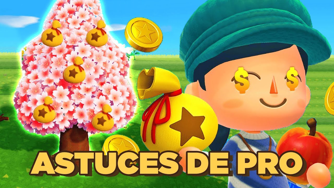 13 ASTUCES et SECRETS sur ANIMAL CROSSING SWITCH