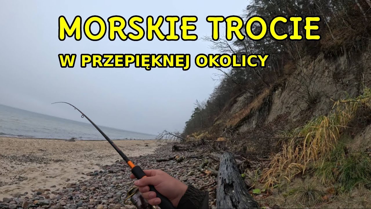 MORSKIE TROCIE Z BAŁTYKU / PRZEPIĘKNE POLSKIE MORZE