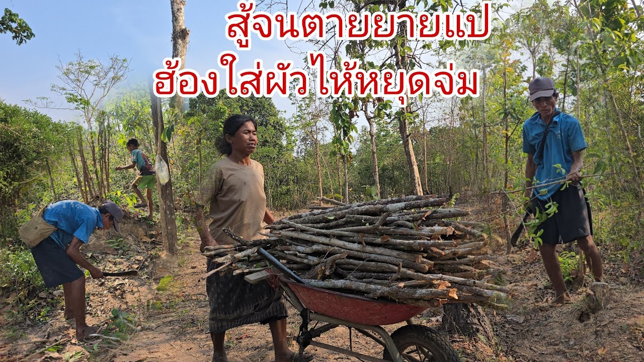 สิถือฟ้าแล่นใส่กันผัวยายแปสิยอมติดคุกเกีดเรื่องแบบนี้ชาวบ้านผู้บ่อจักสิหาว่ายายแปไล่อี่สีหนีคักๆ