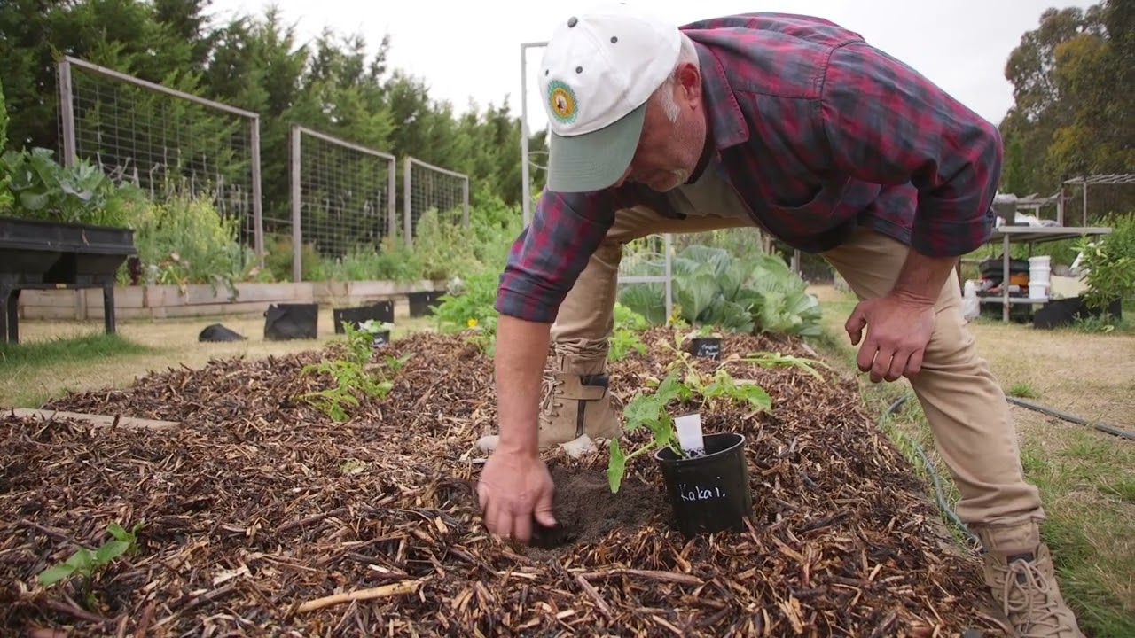 Planting Pumpkins