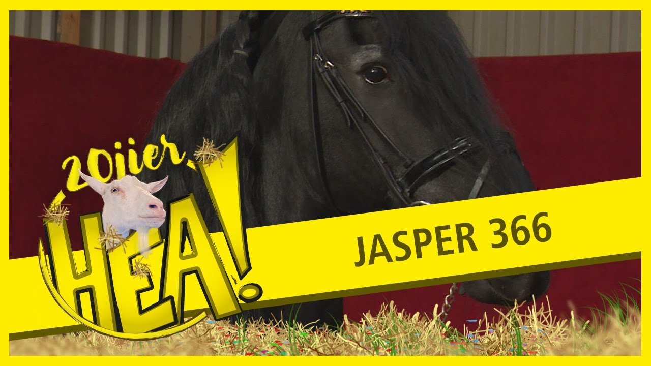 20 JAAR HEA! Jasper 366 geniet van zijn pensioen
