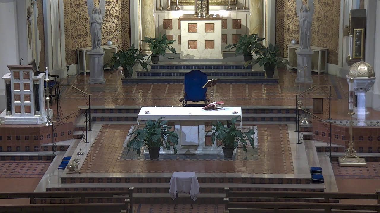 8:30 AM Daily Mass — Saturday, January 31, 2026