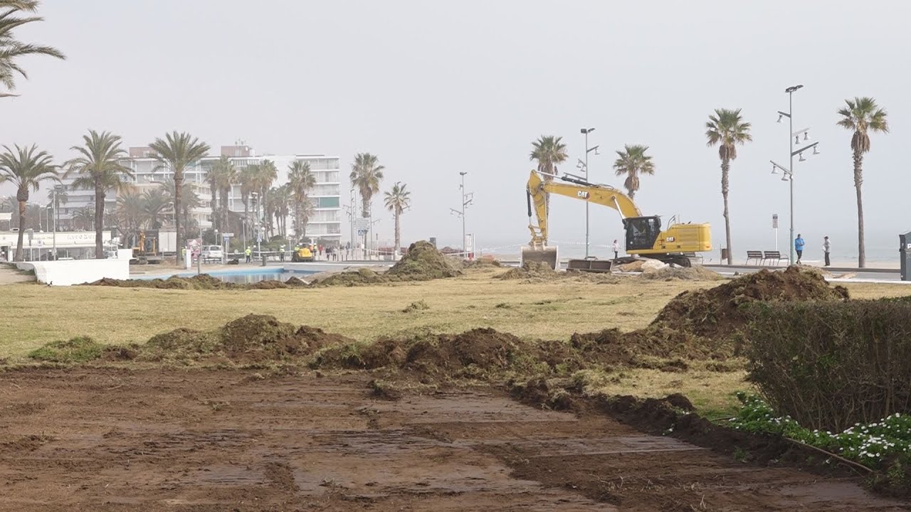 Comencen les obres per renaturalitzar el passeig marítim de la Pineda
