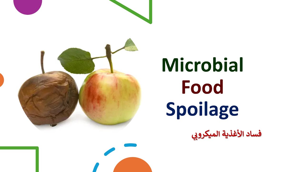 Lecture 12: Why Your Food Spoils — Blame the Tiny Invaders! لماذا يفسد طعامك؟ اللوم على الميكروبات