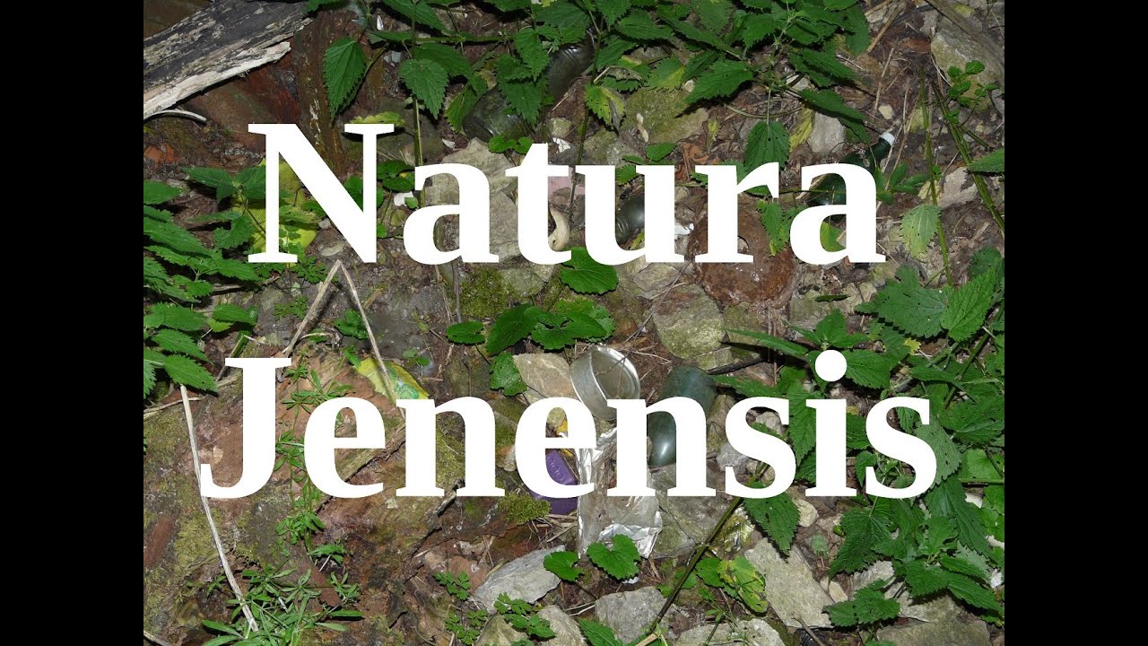 Natura Jenensis / Zur Entstehung von Bildern und Narrativen über Natur. Jena Thüringen
