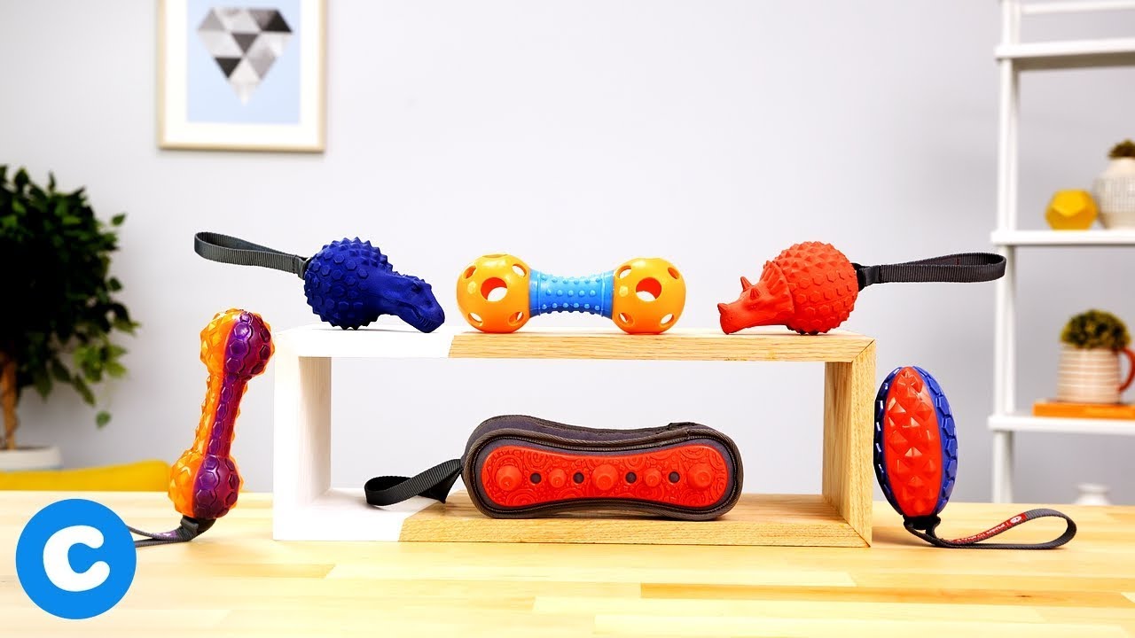 Frisco Fetch Dog Toys | Chewy