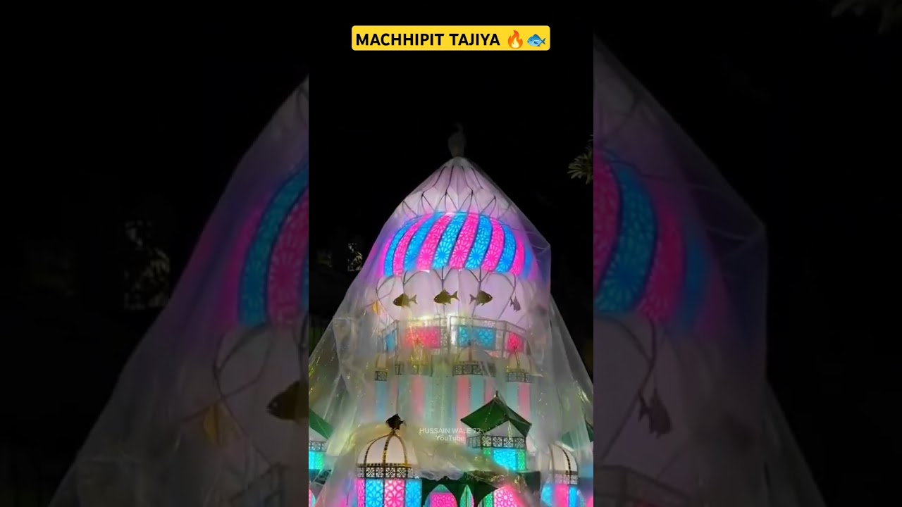MACHHIPIT KA TAJIYA 2024 | Vadodara mohharam 2024 #viralvideo #trending #live #short #yaali #viral