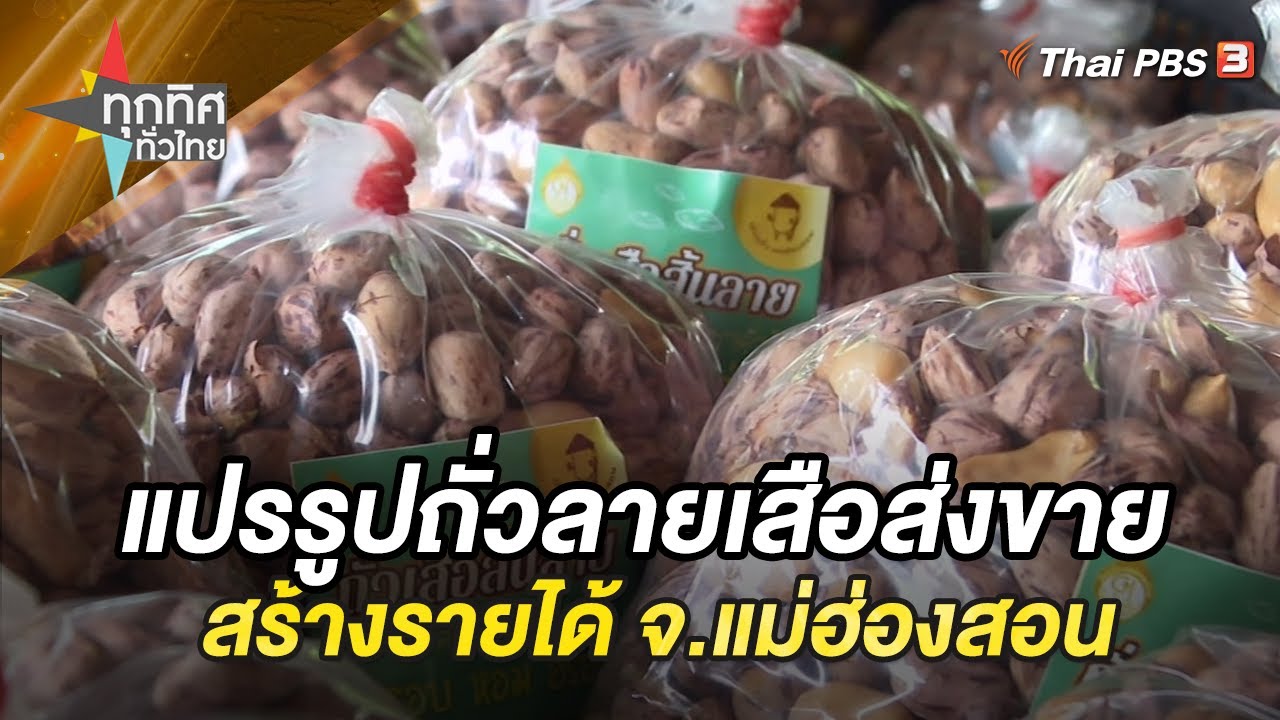 แปรรูปถั่วลายเสือส่งขายสร้างรายได้ จ.แม่ฮ่องสอน | ทุกทิศทั่วไทย | 30 ต.ค. 66