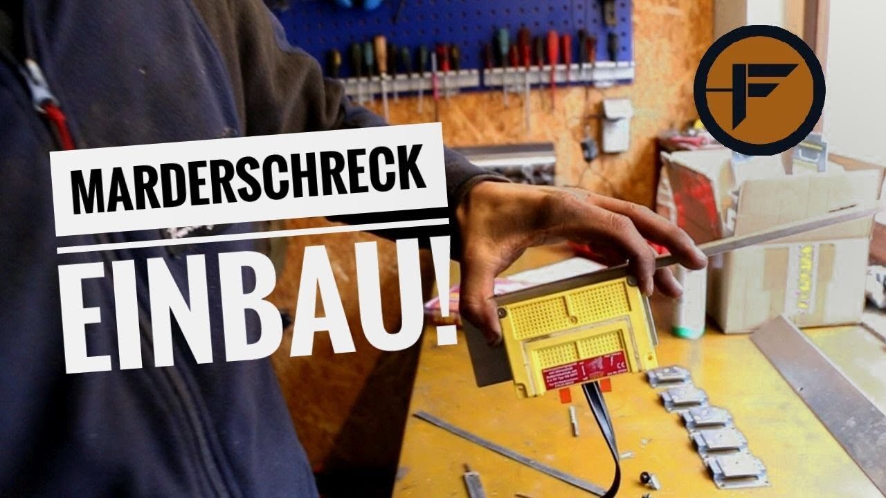MARDERSCHRECK EINBAU! | Fahrzeugtechnik Gackstatter