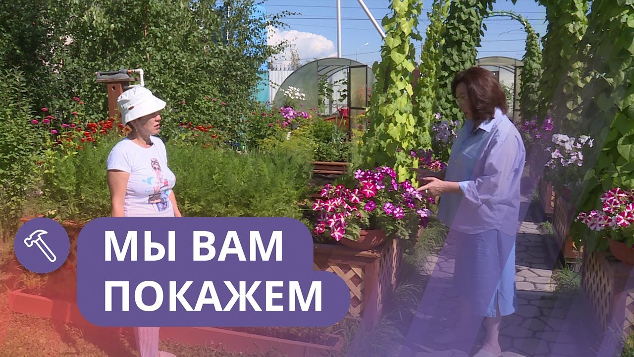 Мы вам покажем: Полезный цветник для начинающих