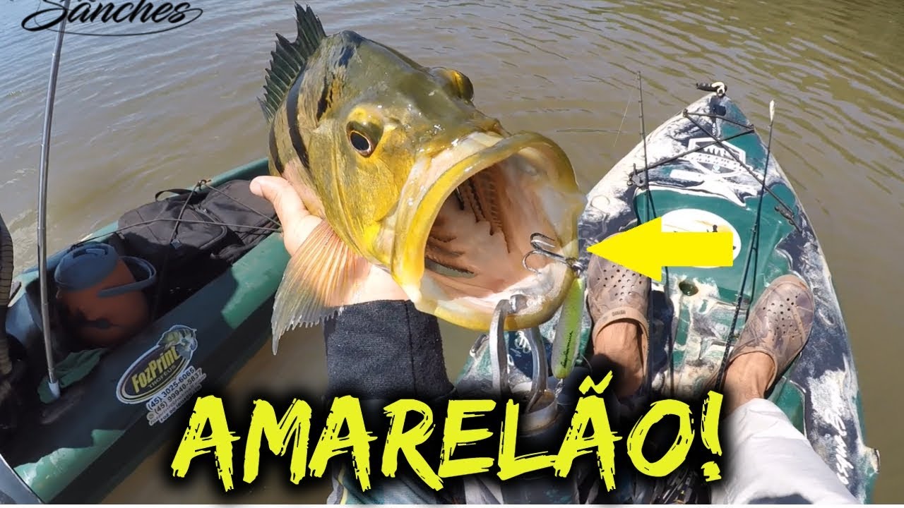 TUCUN&Atilde;O NA CURISCO do NAKAMURA