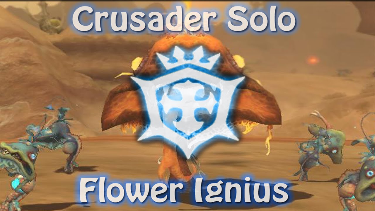 [Dragon Nest] Level 60 Crusader Solo Memorial Flower Ignius