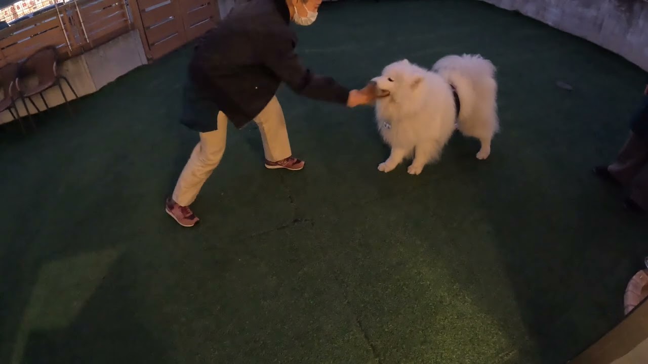 ミニランはしゃぎタイム