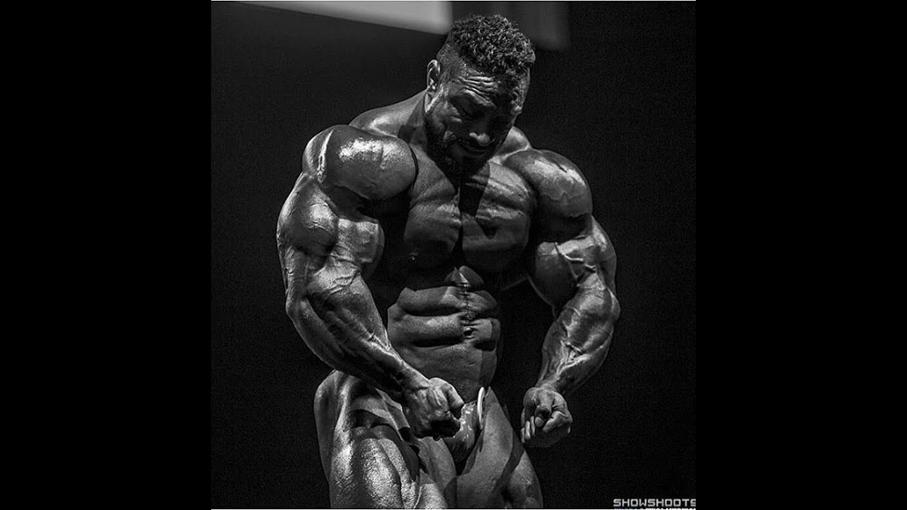 Top 10 Most Muscular !!!