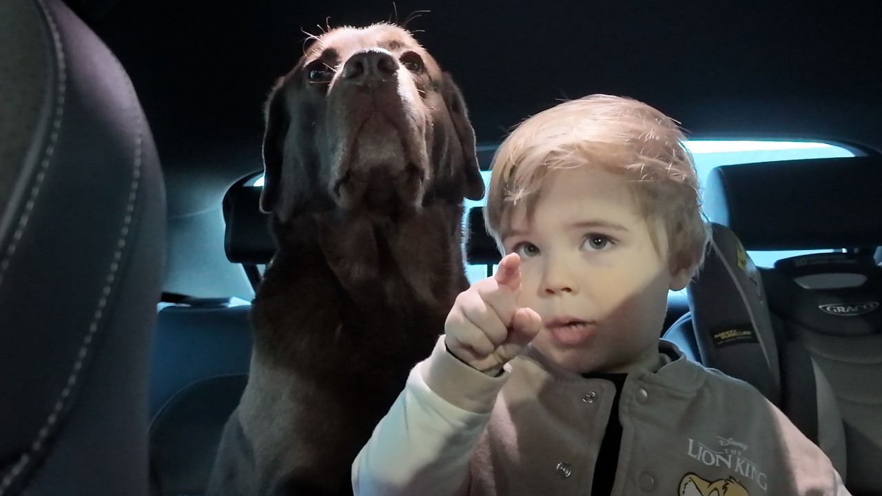 Brave Little Boy Protects His Dog from the Car Wash