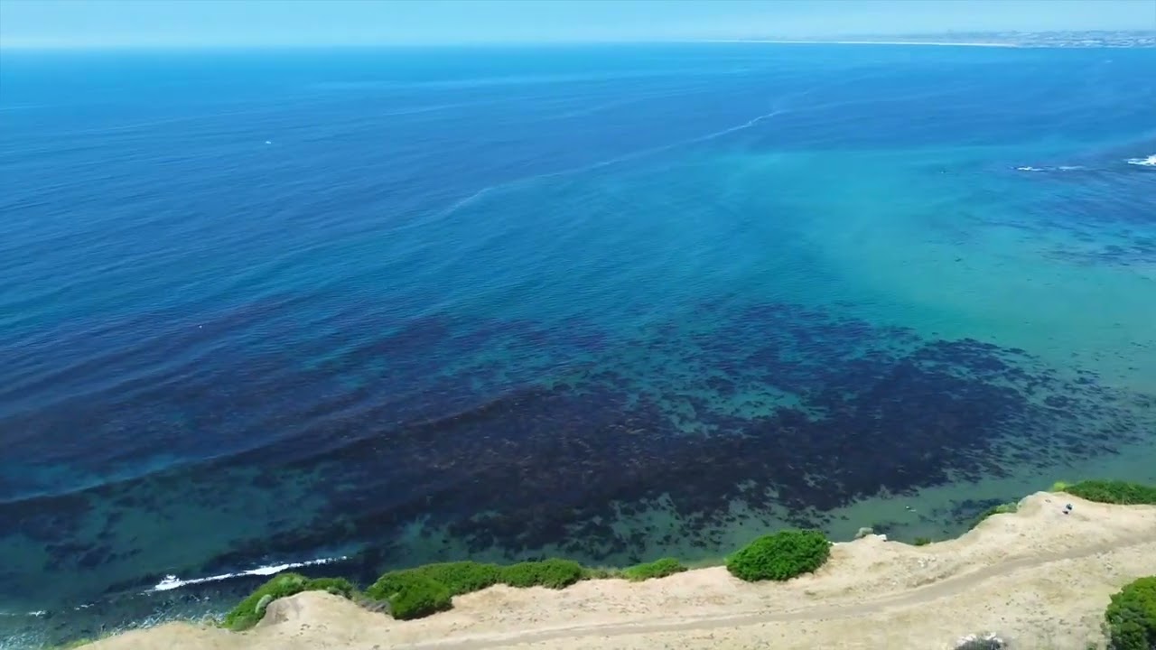 🌊⛱️ Palos Verdes, California Drone Footage from SouthBay4k ☀️