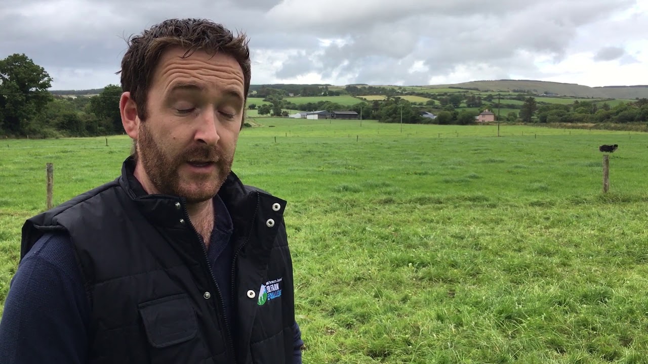 James and John Flaherty, Kerry BETTER beef farmers