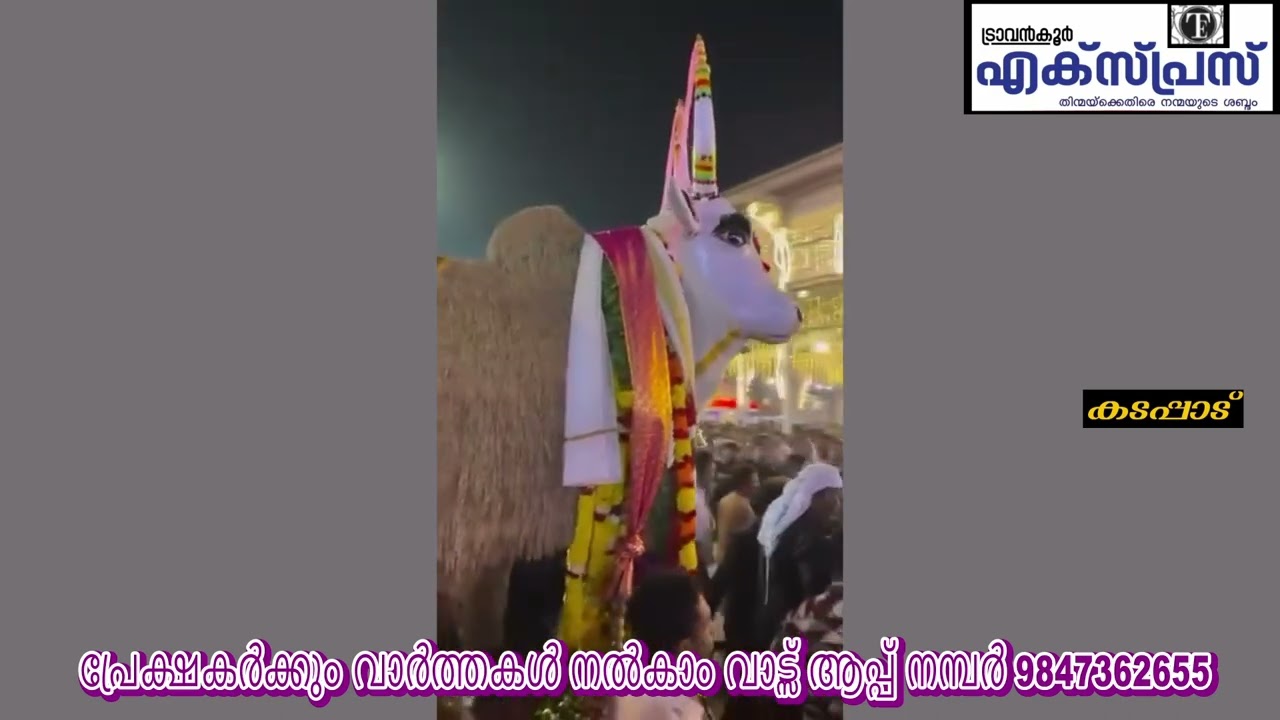 ആറ്റുകാലിൽ കതിര് കാളയുടെ എഴുന്നള്ളിപ്പ്.