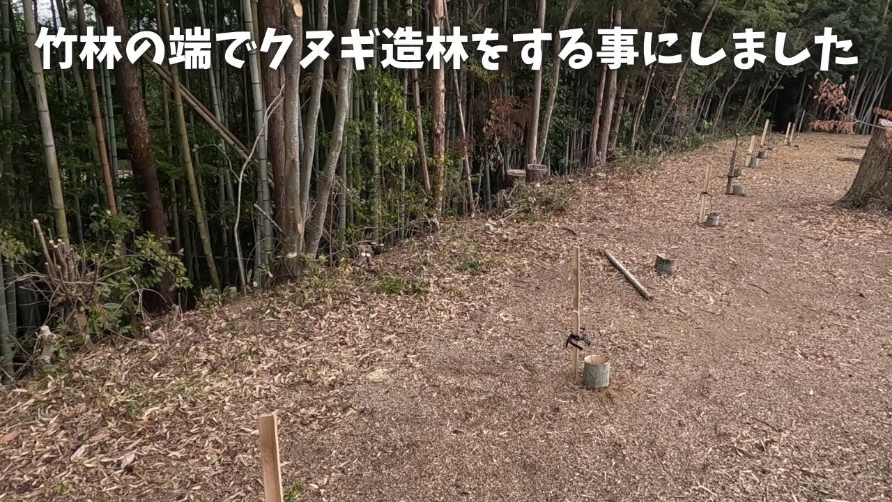 小規模造林のススメ