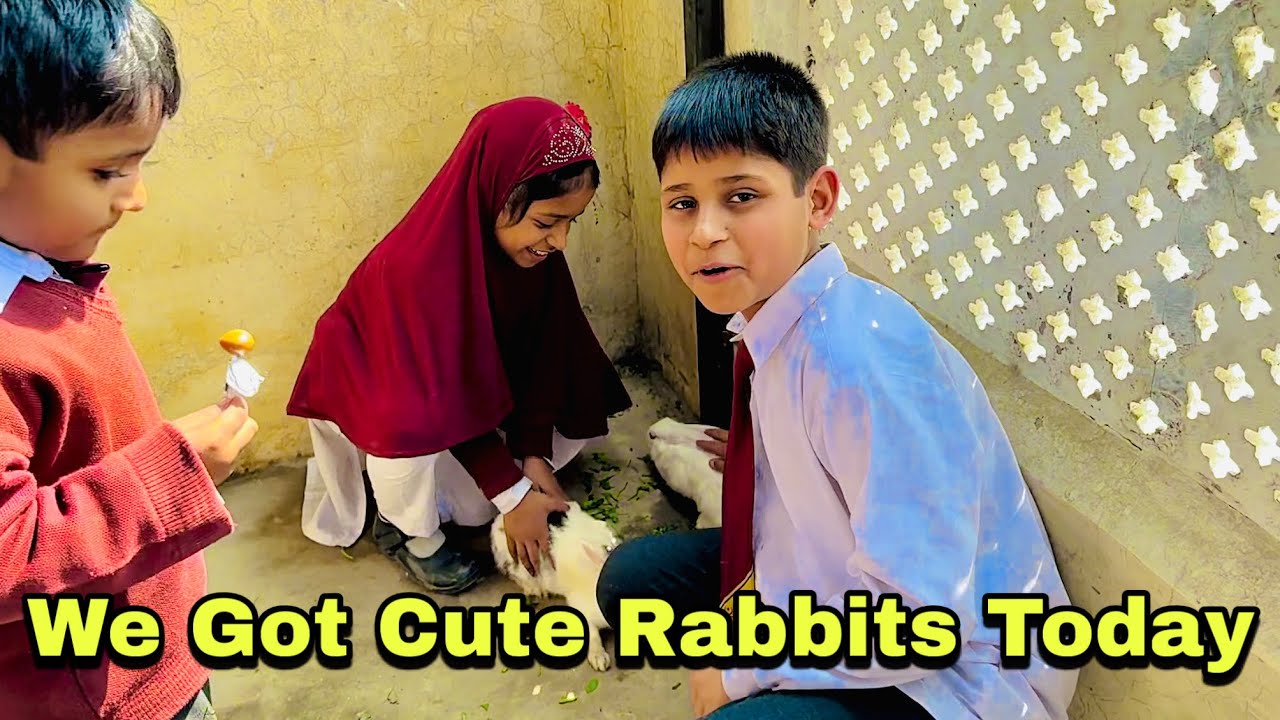 We Got Cute Rabbits Today! 🐰❤️ Full Vlog with New Cage Setup