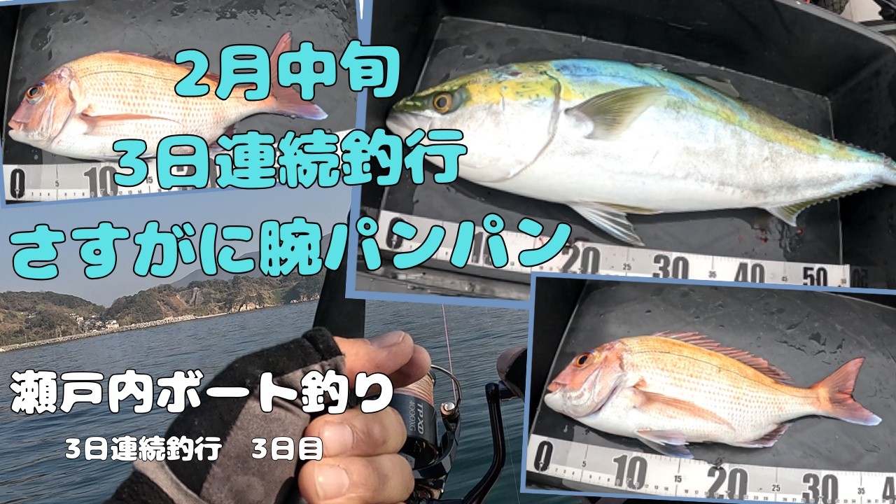 【ジギング】【タイラバ】【瀬戸内】2026年2月中旬、3日連続釣行3日目・・・さすがに疲れました・・・