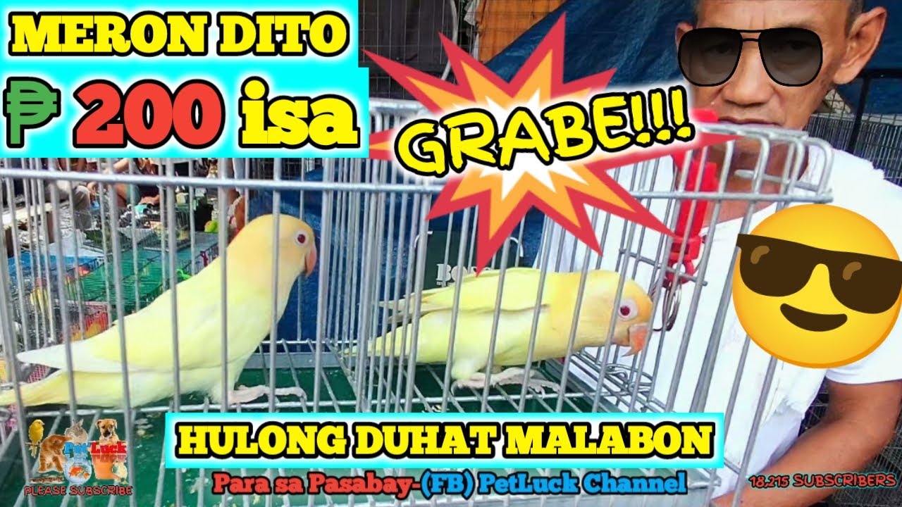 LOVEBIRDS UPDATE TAYO NGAYON DITO SA HULONG DUHAT MALABON