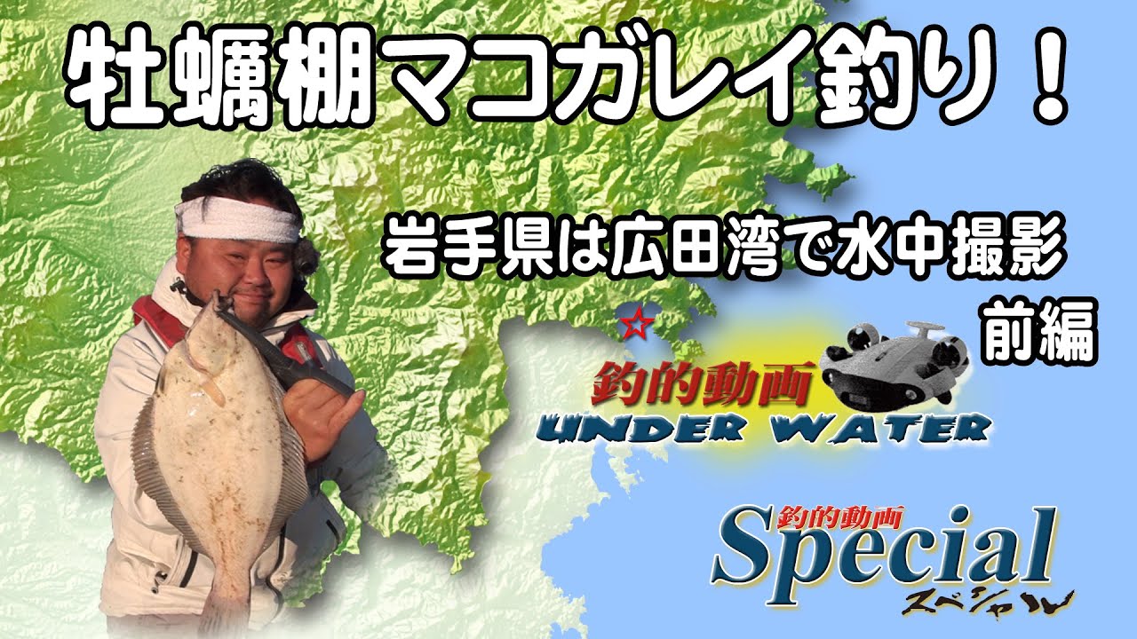 2020・SP広田湾の牡蠣棚マコガレイ水中取材・前編！