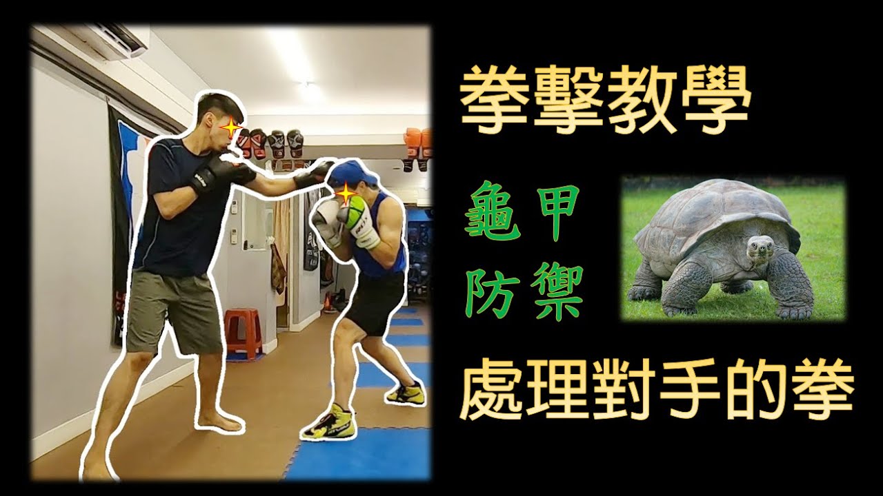 【拳擊教學】教你兩招處理對手的拳，撥擋 & 龜甲防禦。Parry Punches｜拳擊小潘