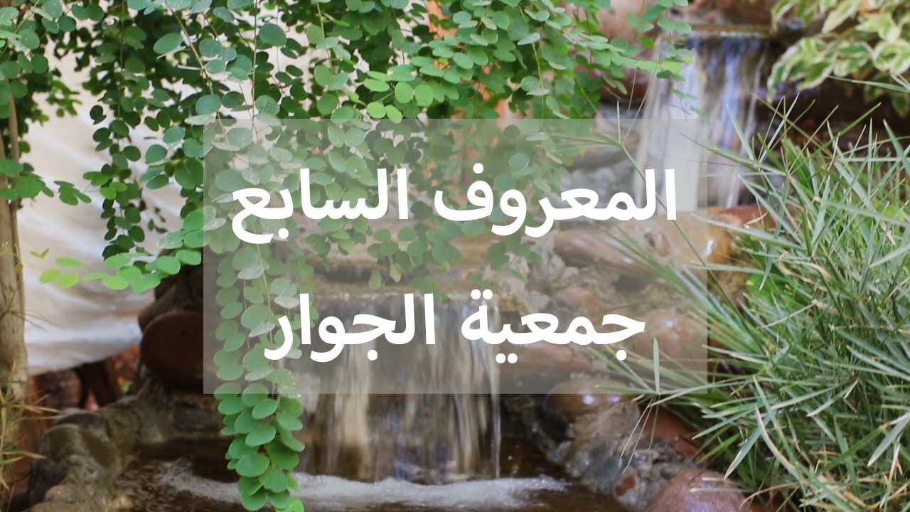 المعروف السابع لجمعية الجوار بمناسبة ذكرى مولد الحبيب المصطفى صلى الله عليه وآله و سلم