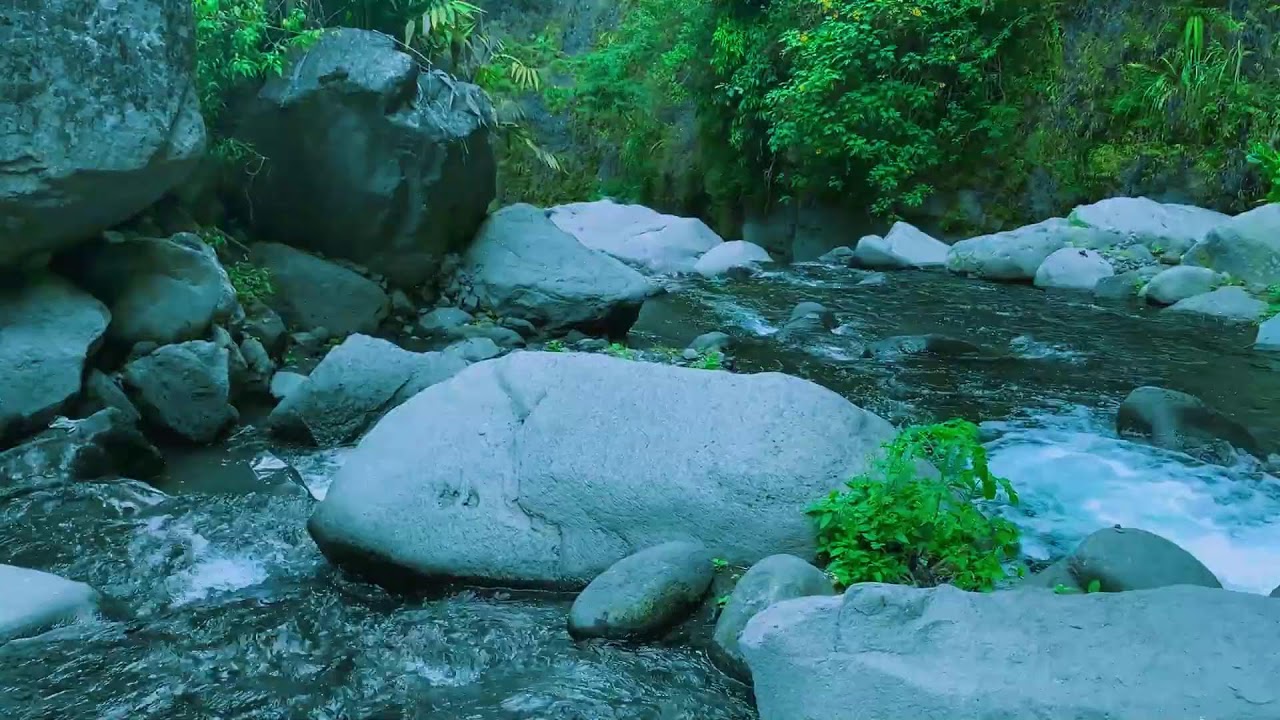 Dreamy Nature White Noise to help Concentration, Stress Relief & Healing