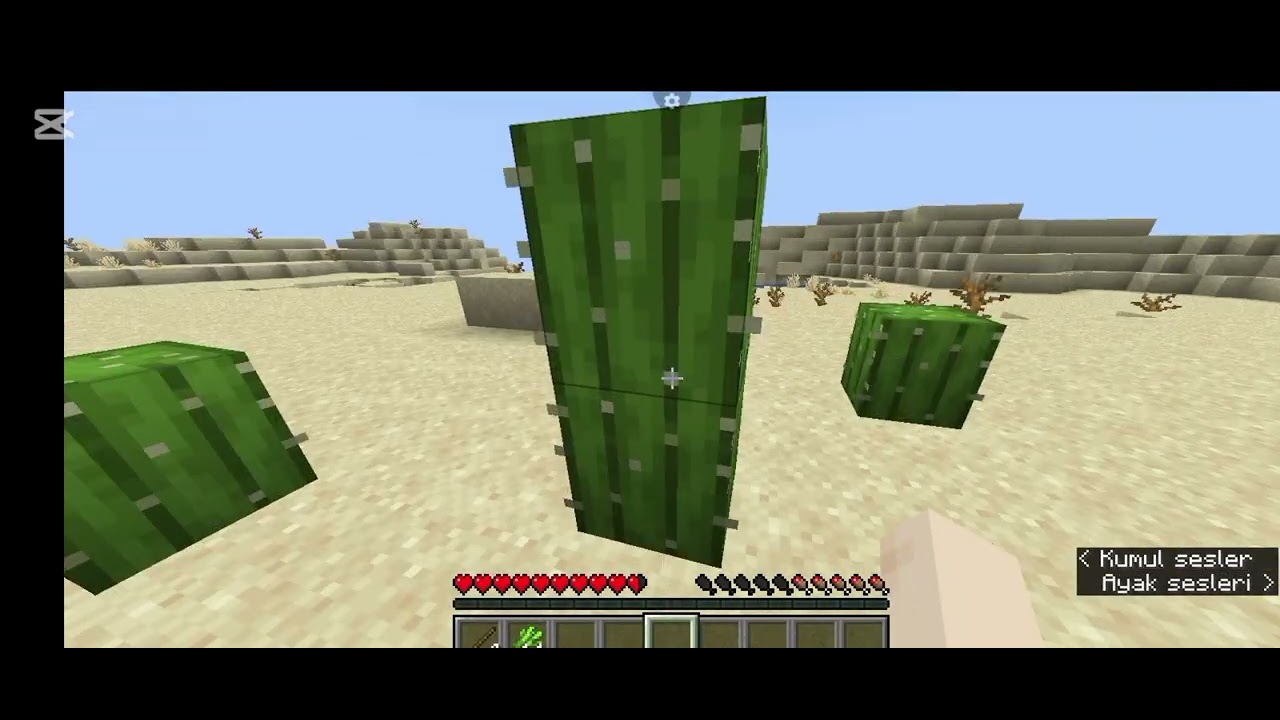 Minecraft hayatta kalma 1. Bölüm survıval