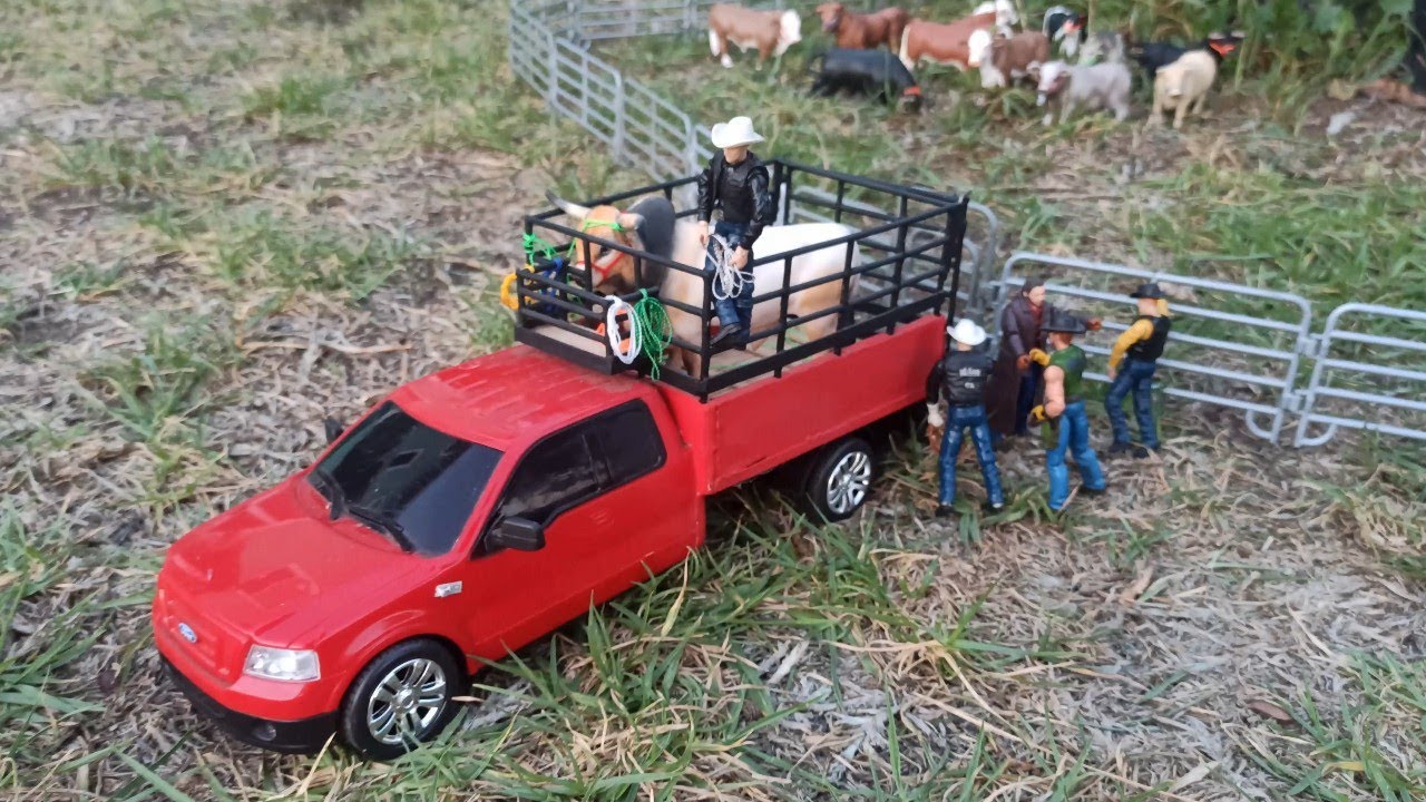 Un refuerzo Nuevo🔥Mini ganaderias Rancho Nuevo🔥