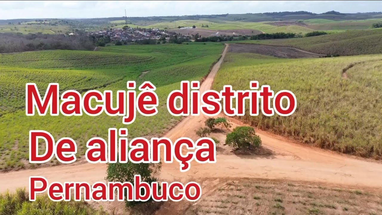 MACUJÊ DISTRITO DE ALIANÇA PERNAMBUCO BRASIL 