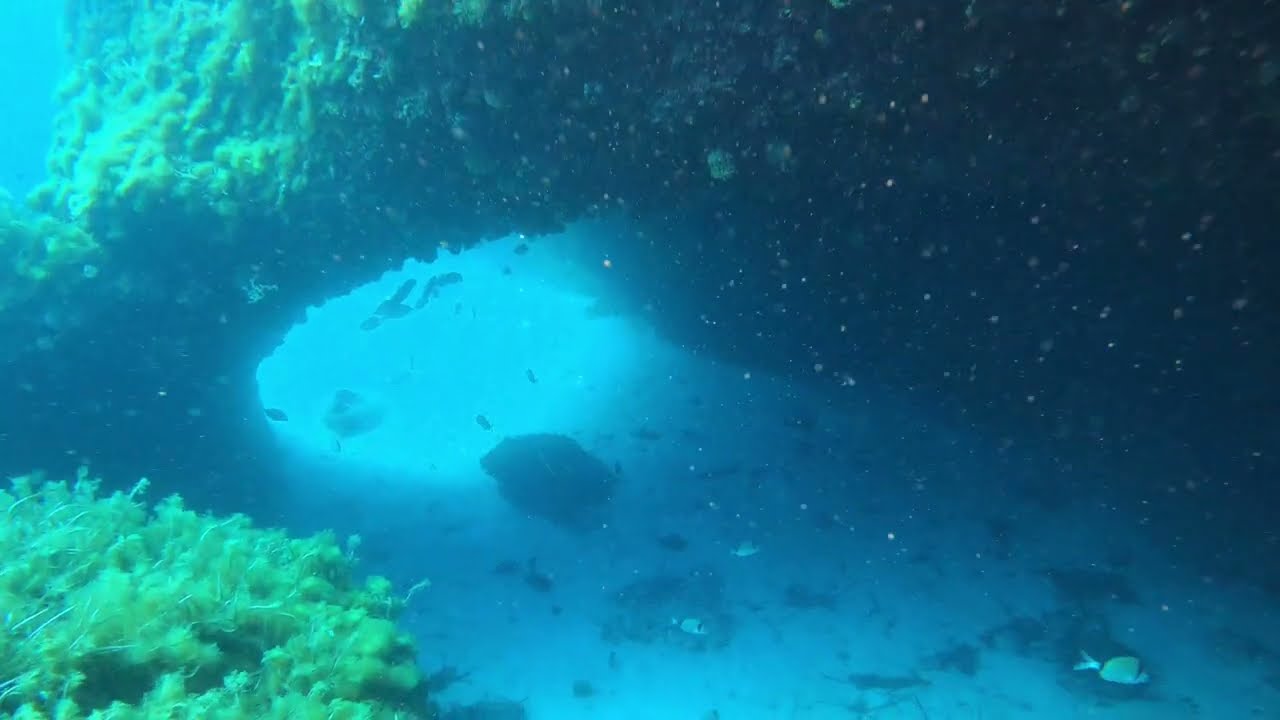 S&rsquo;Algar Reef - (Menorca)