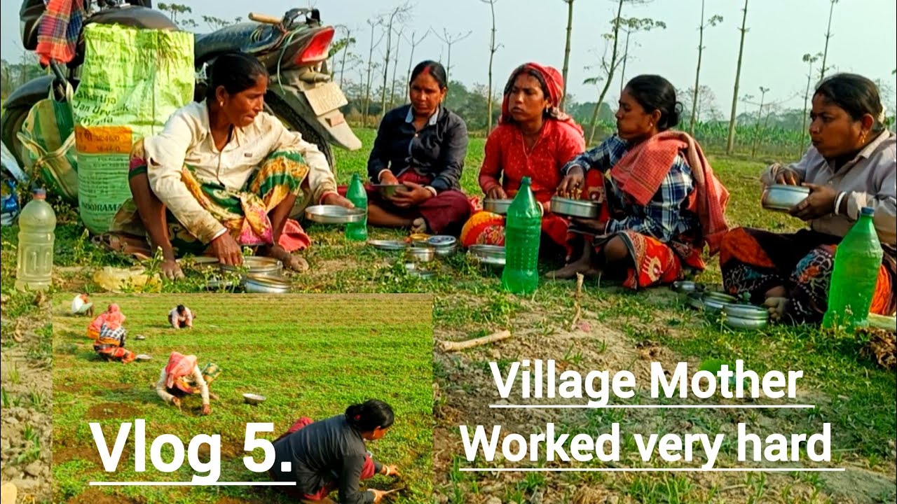 How Village Mother Works In The Garden| Agriculture Works | Daily Wage | English Speaking 