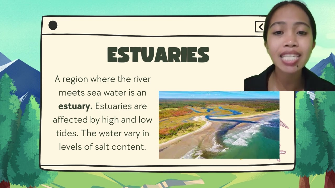 Interaction in Estuaries and Intertidal Zones