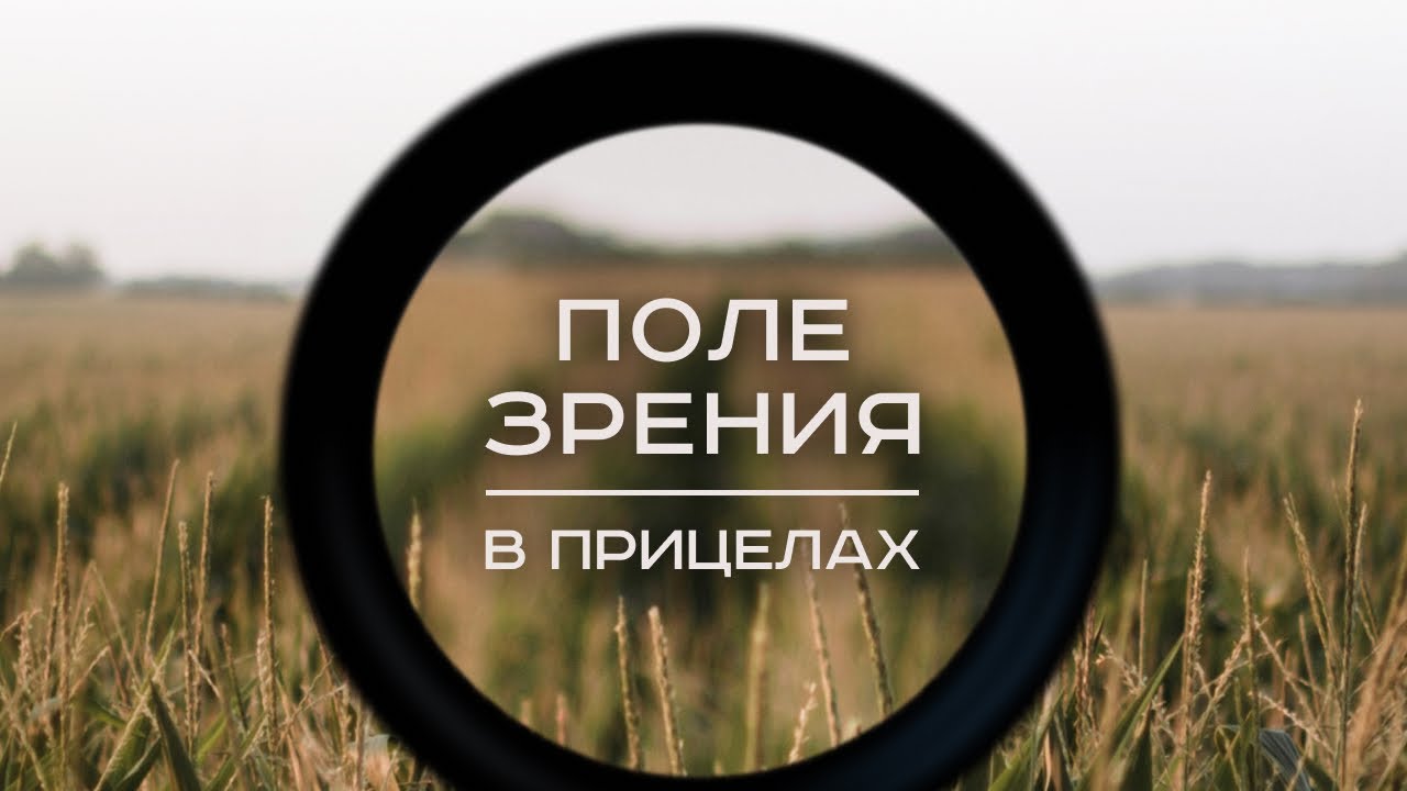 Поле зрения и кратность в прицелах. Как выбрать?