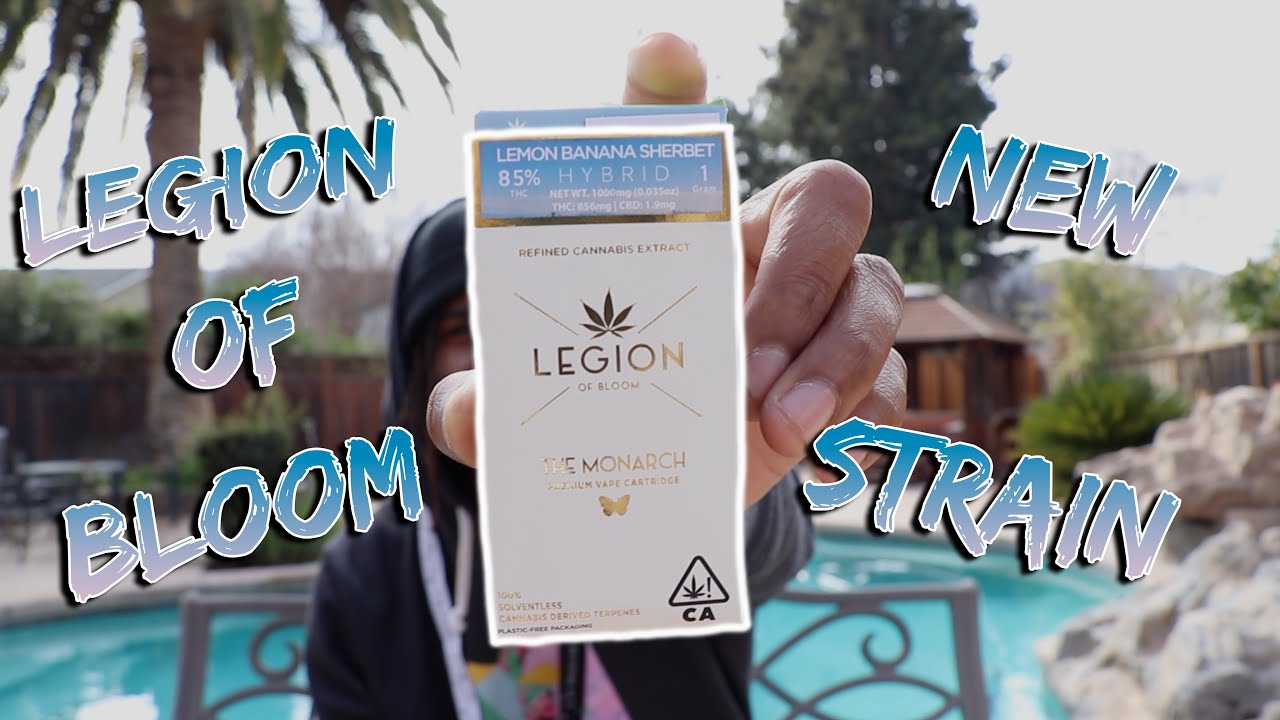 Trying LEGION OF BLOOM&rsquo;S NEW MONARCH VAPE CART STRAIN