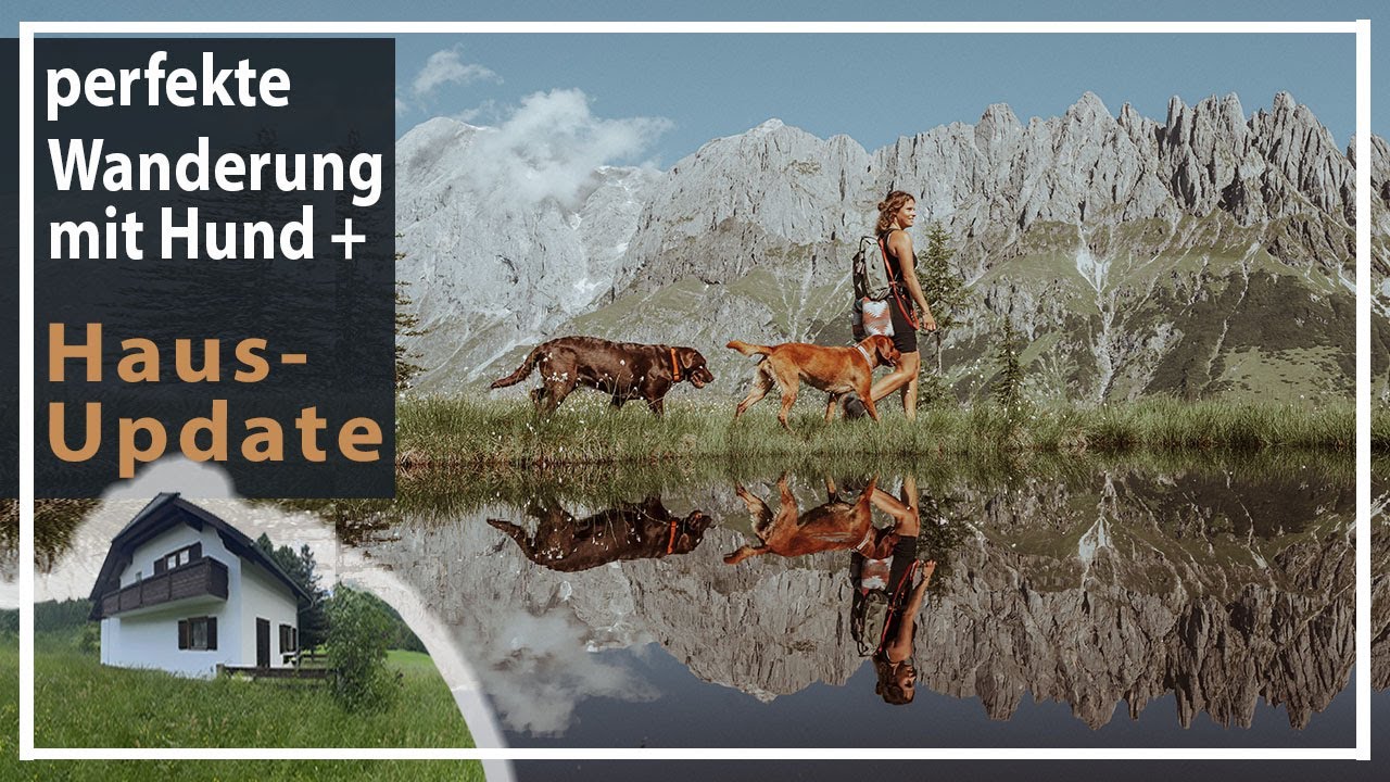 einfache Wanderung mit Hund | + Haus Update  | Chocolate  Foxred Labrador KaroLovesMilka