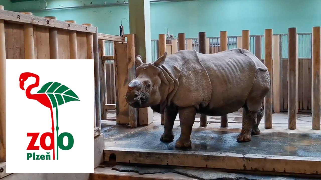 ZOO Plzeň