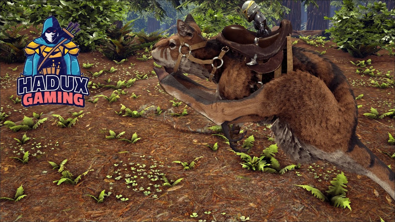 Ark türkçe Procoptodon(Kanguru) Evcilleştirme | ARK Survival Evolved Ragnarok (Modsuz) | S1B67
