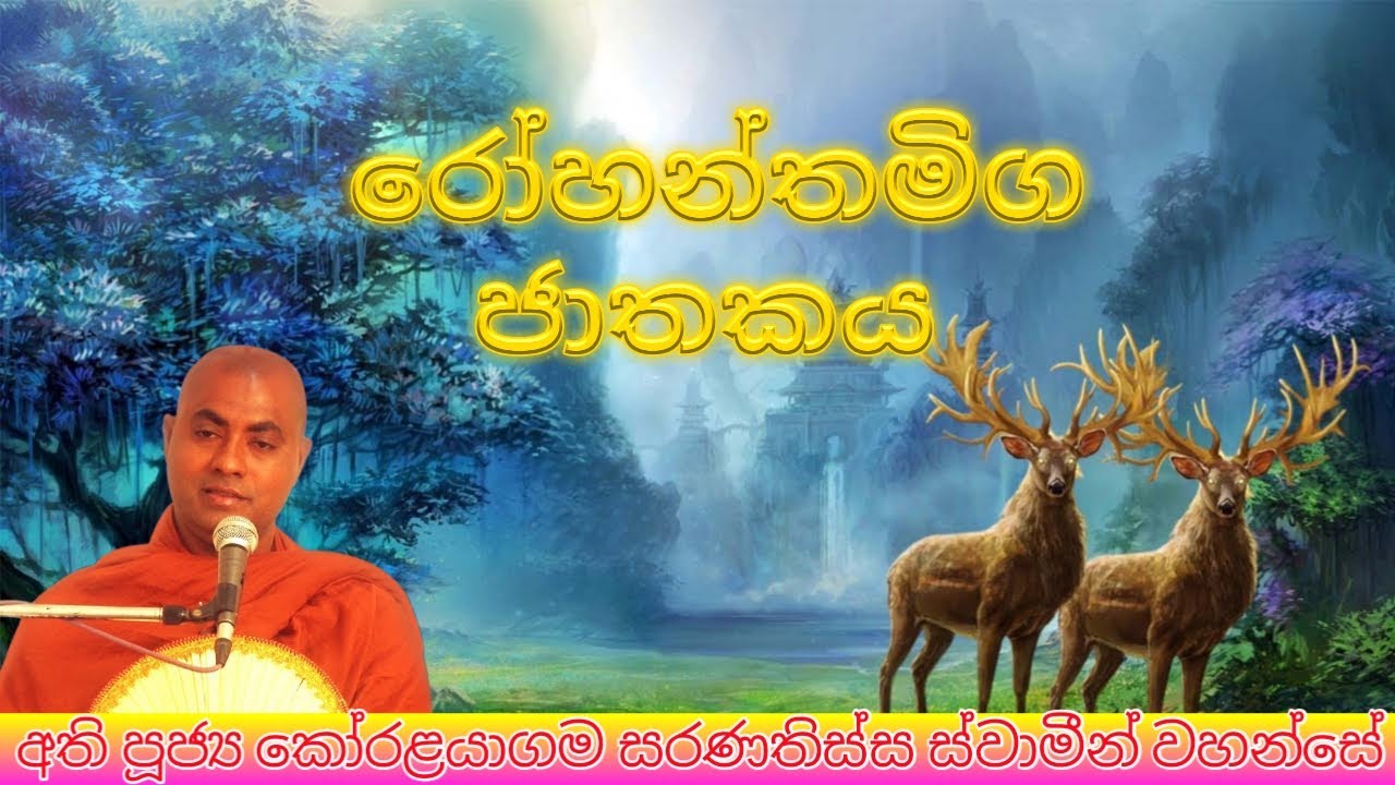 රෝහන්ත මිග ජාතකය| Rohanthamiga Jathakaya | Rohantha Miga Jathakaya | Koralayagama Saranathissa Thero