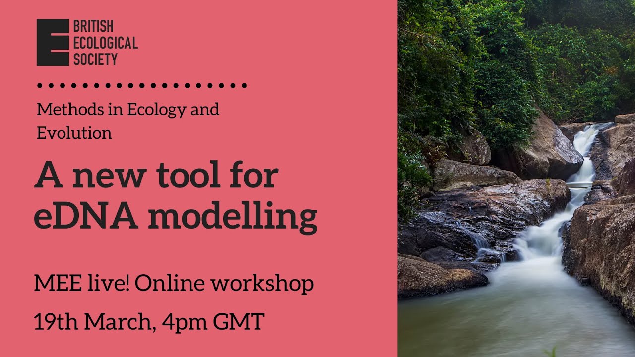 MEE live! A new tool for eDNA modelling