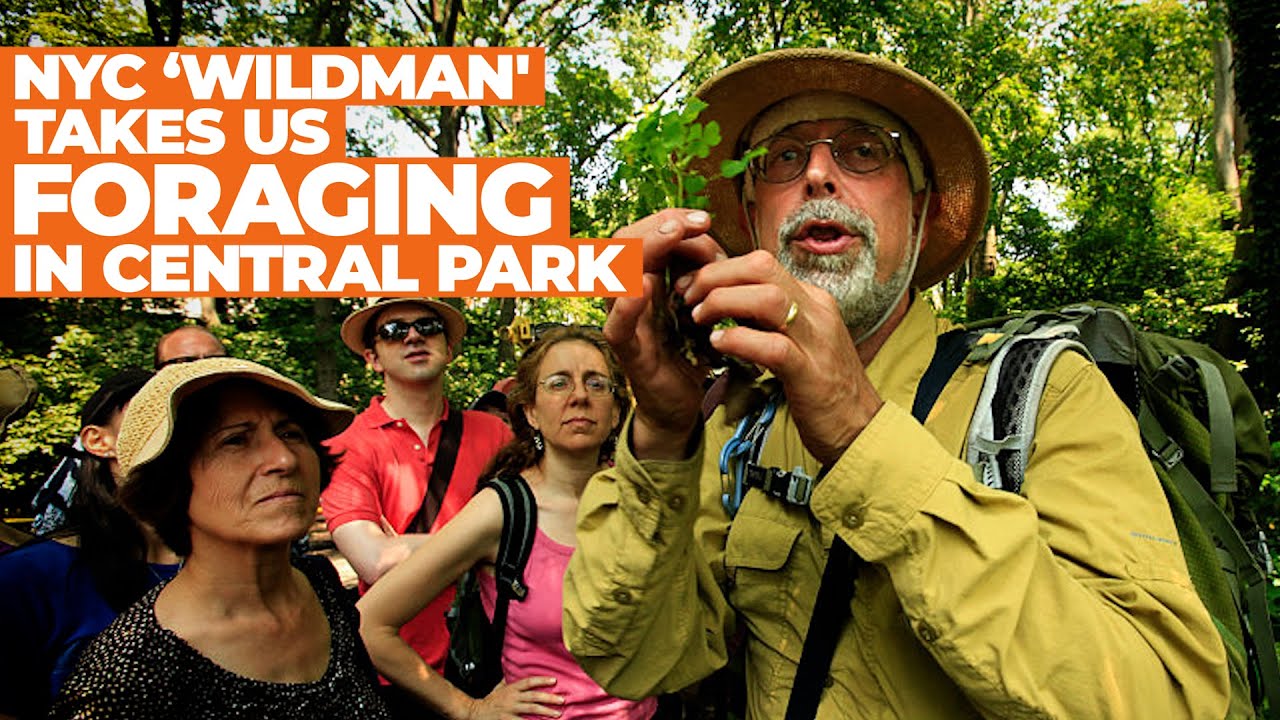 NYC ‘Wildman' Steve Brill Takes Us FORAGING in Central Park |  NBC New York