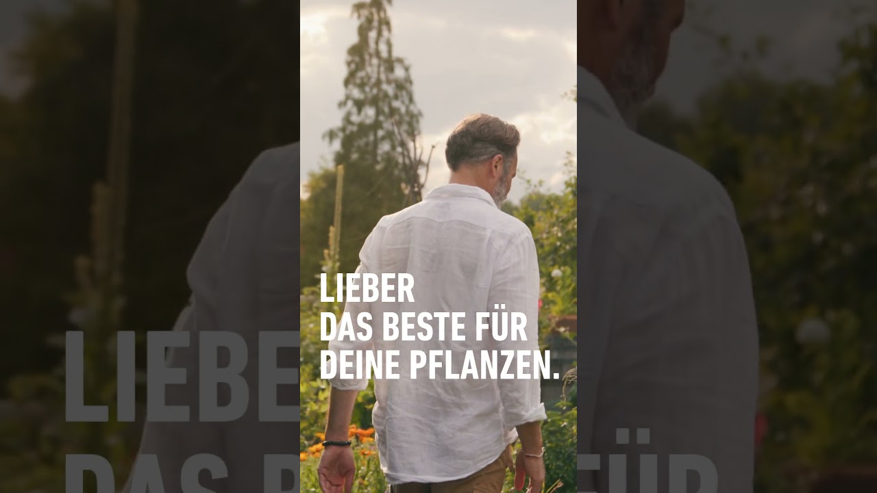 Genervt von Trauerm&uuml;cken?  #compo