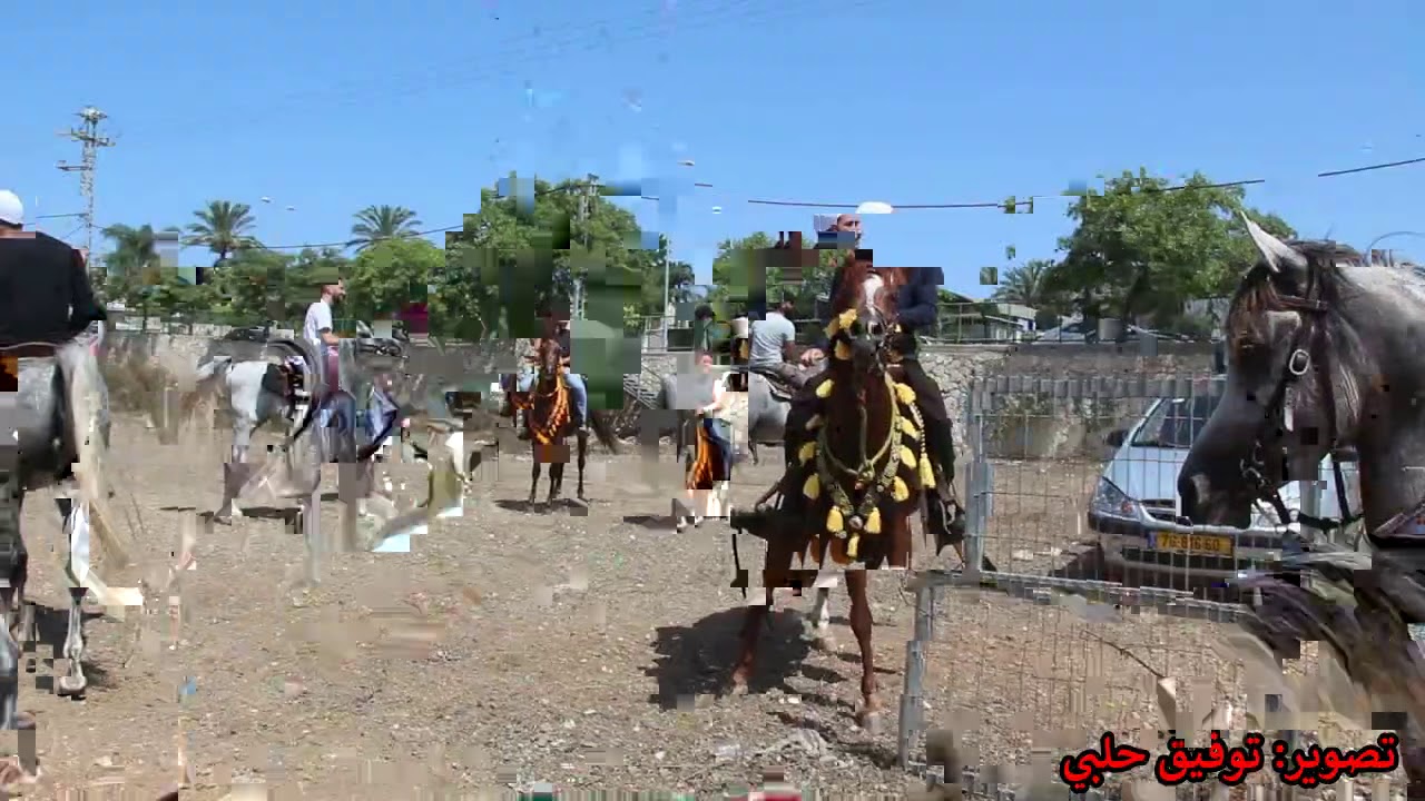 مسيرة خيالة دالية الكرمل بمناسبة عيد الاضحى كل عام وانتم بالف خير 30.7.2020