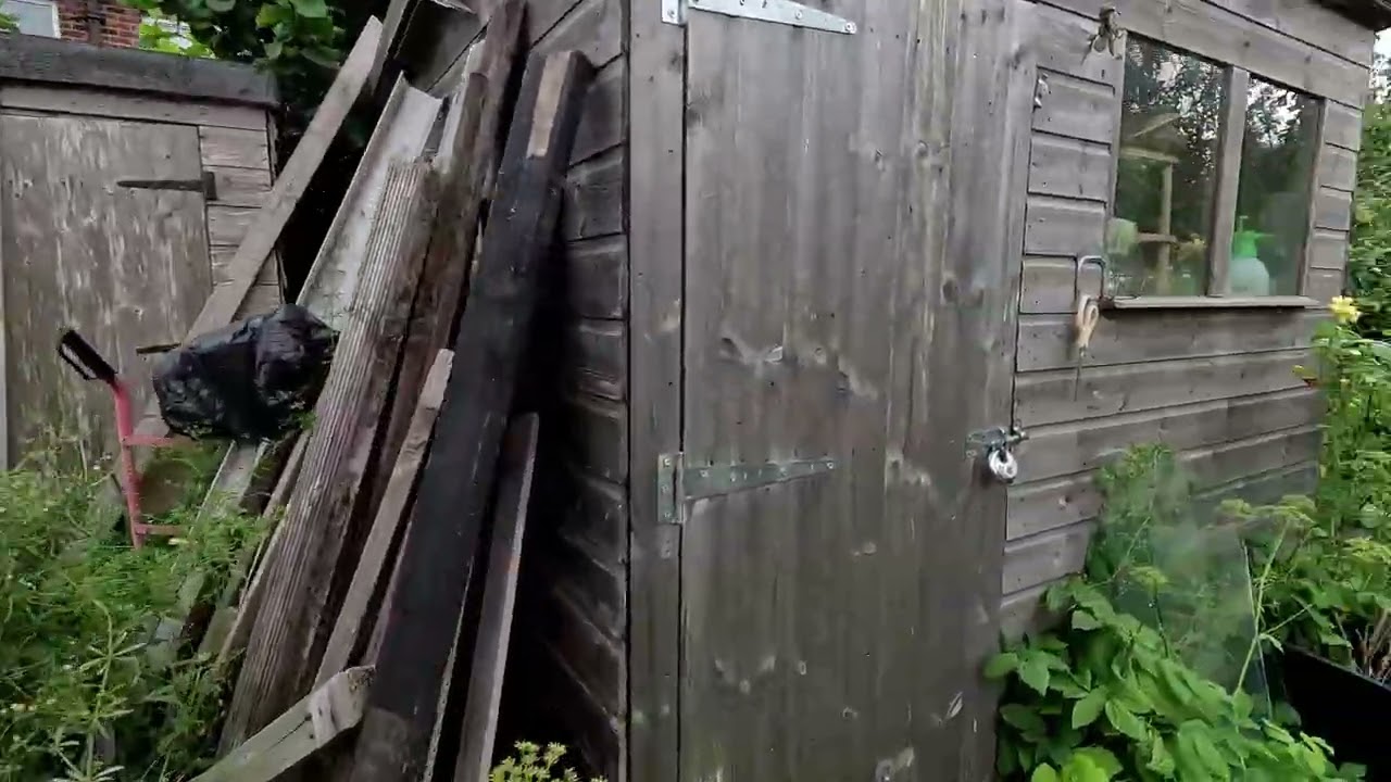 When the weeds claimed back the plot