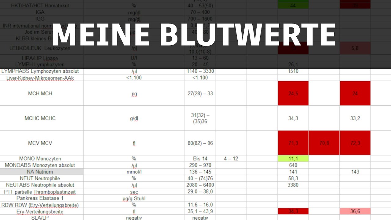 Aktueller Bluttest + Alle Bluttests über die letzten 6 Jahre  | 
