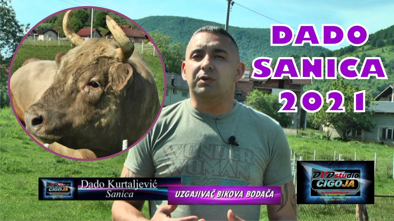 - DADO SE OPORAVLJA ŠAMPION GOLUB SPREMAN DA BRANI TITULU  U POSUŠJU 2021